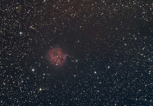 IC5146 10282013
