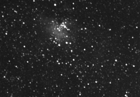 Eagle01 135mm 15sec 110607