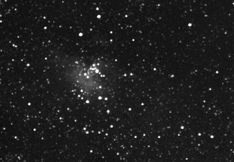 Eagle02 135mm 15sec 110607